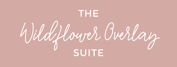 Suite-Wildflower-Overlay